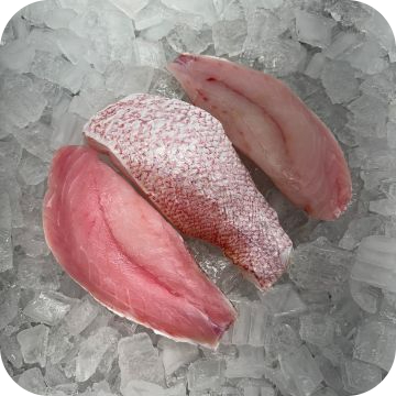 Red Snapper Fillets (3 lbs.)